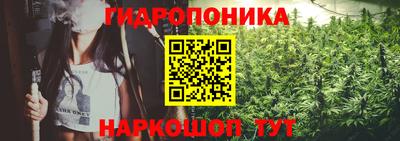 каннабис Можга